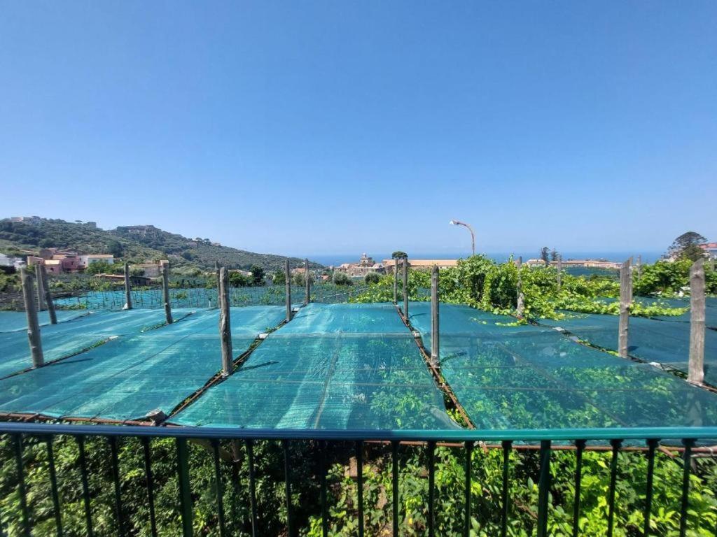 Il Pozzillo Maison Massa Lubrense Exteriör bild